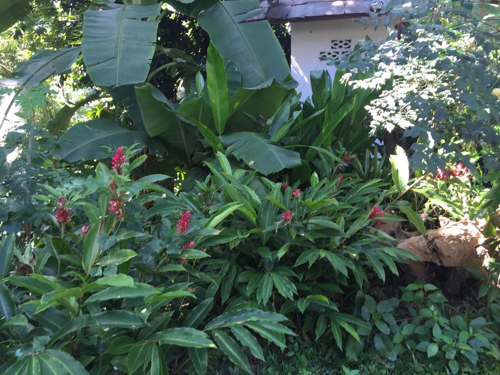 Ban Vivanh Chambres D'Hotes Luang Prabang Luaran gambar